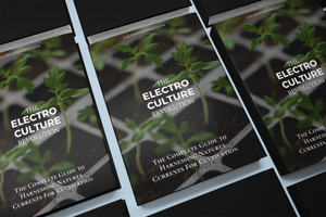 Electro Culture Ebook (Starter-Kit) Pre-Order Sale